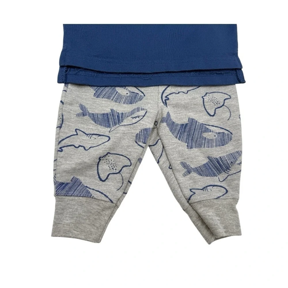 Carter’s Blue Hoodie and Gray Whale Print Pants Set